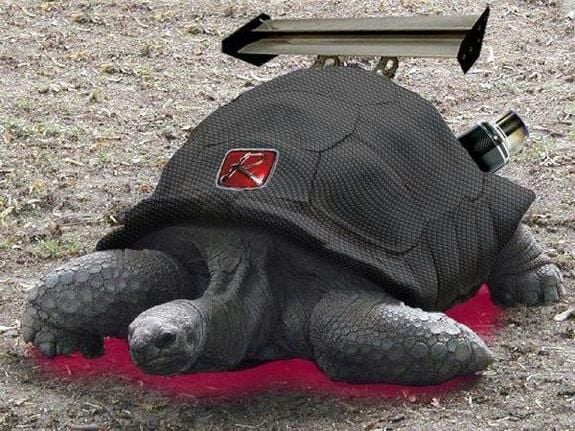 Cam Rüzgarlığı Modelleri