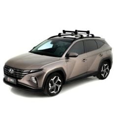 Turtle Tavan Kayak ve Snowboard Taşıyıcı Gri Apex 6