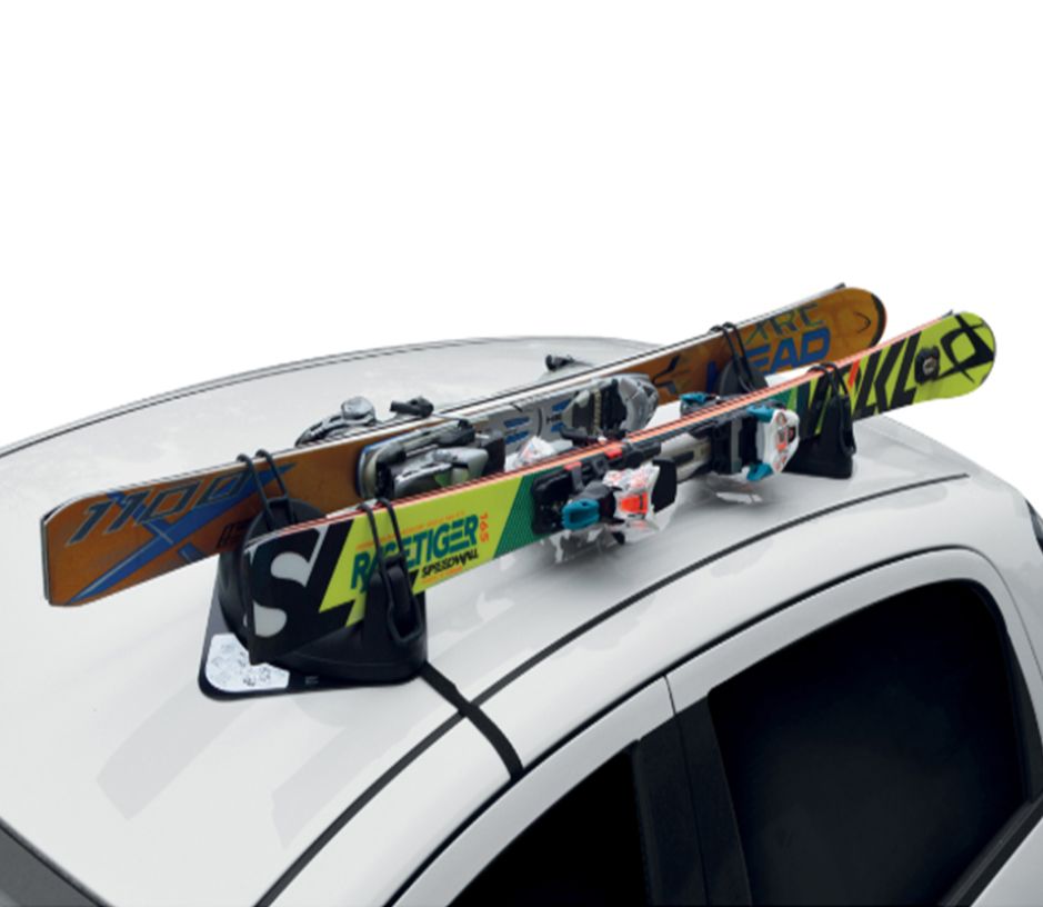 Igloo Mıknatıslı 2'Li Kayak Bagajı /Sybg440