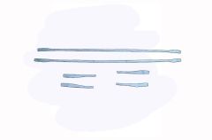 Renault Clio Uyumlu 4 Sport Tourer Ön Tampon Çıtası 6 Parça Krom 2013-2016