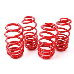 Coil-Ex Mercedes Uyumlu W204 2007 Sonrası C Class Spor Yay 30 / 30 Mm