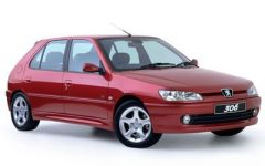 Coil-Ex Peugeot Uyumlu 306 1993 / 2003 Arası Spor Yay 45 Mm