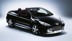 Coil-Ex Peugeot Uyumlu 307 -32001 Sonrası Spor Yay 45 / 45 Mm